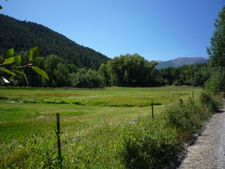 Beautiful meadow for pasture or hay